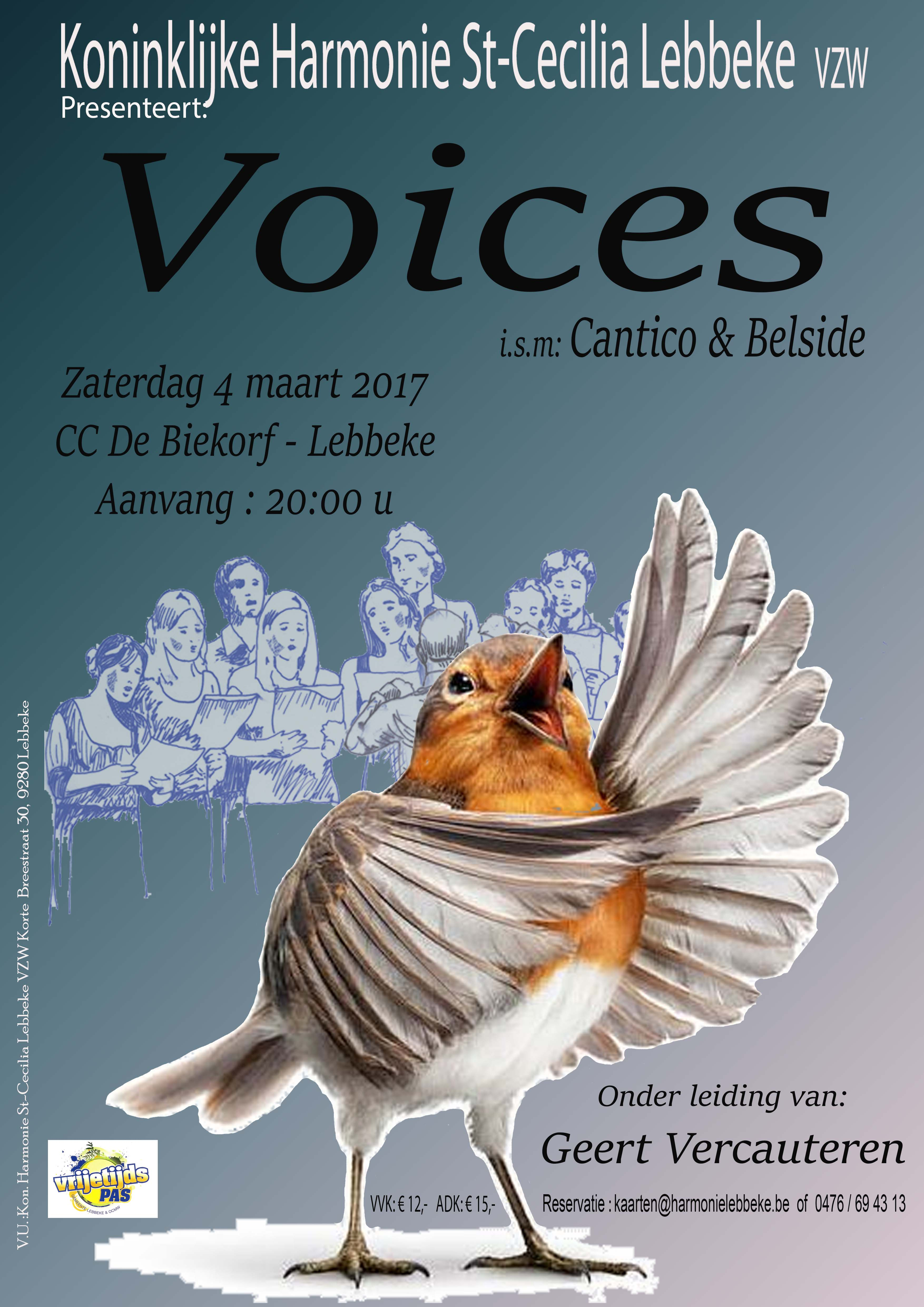 Voices 2017